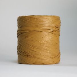 Ruban raphia (12,5mmx200m)