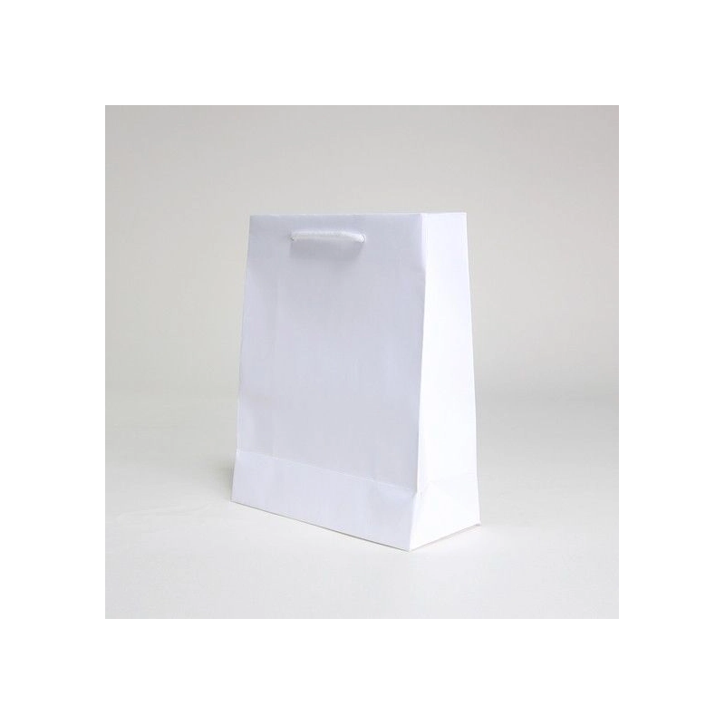 Maschinengefertigte Papiertüten Papiertragetasche NOBLESSE Kraft Maschinengefertigte Papiertüten Papiertragetasche NOBLESSE Kraft