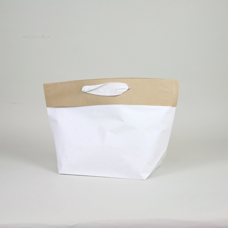 Premium Cement paper bag - Bags - Centuryprint