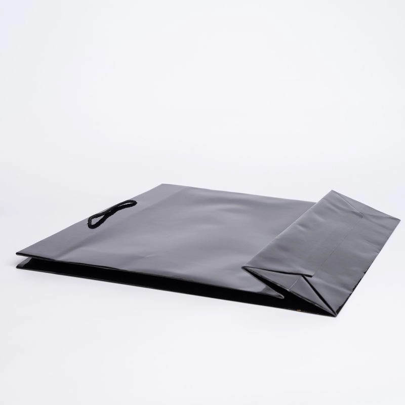 Taschen mit Seil- oder Bandgriffen Papiertragetasche NOBLESSE Plastifiziert Taschen mit Seil- oder Bandgriffen Papiertragetasche NOBLESSE Plastifiziert