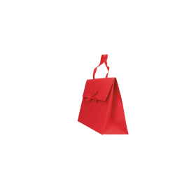 Customized Paper pouches Gift bag with Kelly handles