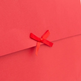 Customized Paper pouches Gift bag with Kelly handles