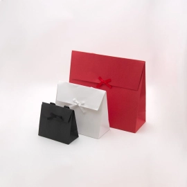 Customized Paper pouches Gift bag with Kelly handles