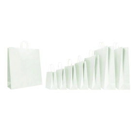 Customized Bags FSC paper bag Safari