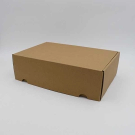 POSTPACK EXTRA STRONG | TOUGH SHIPPING BOX - Home | Centuryprint
