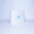 CAMPANA | 40x31x8 CM | LIGHT BOX WITH LID