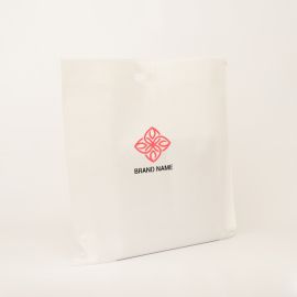BOLSA TNT | 60x50 CM | BOLSA DE TELA NO TEJIDA