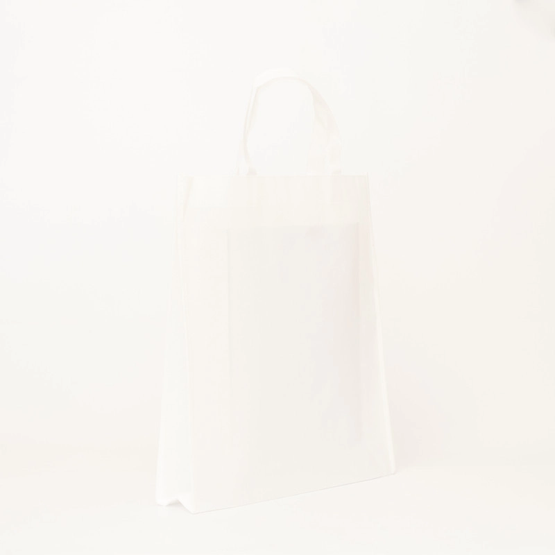 LUS BEUTEL | 40x10x45 CM | VLIESSTOFFTASCHE LUS BEUTEL | 40x10x45 CM | VLIESSTOFFTASCHE