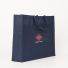 LUS BEUTEL | 60x15x50 CM | VLIESSTOFFTASCHE