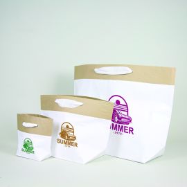 SACO DE CEMENTO | BOLSA DE PAPEL REFORZADO