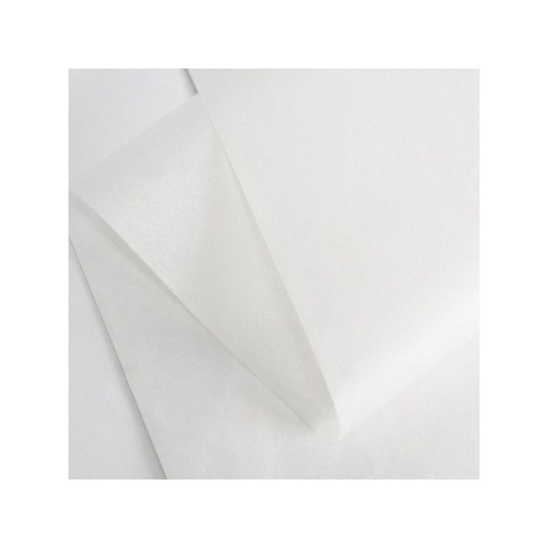TISSUE PAPER 100X75 CM