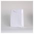 NOBLESSE BAG IN LUXURY LAMINATED PAPER