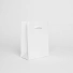NOBLESSE BAG IN LUXURY LAMINATED PAPER