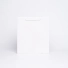 NOBLESSE BAG IN LUXURY LAMINATED PAPER