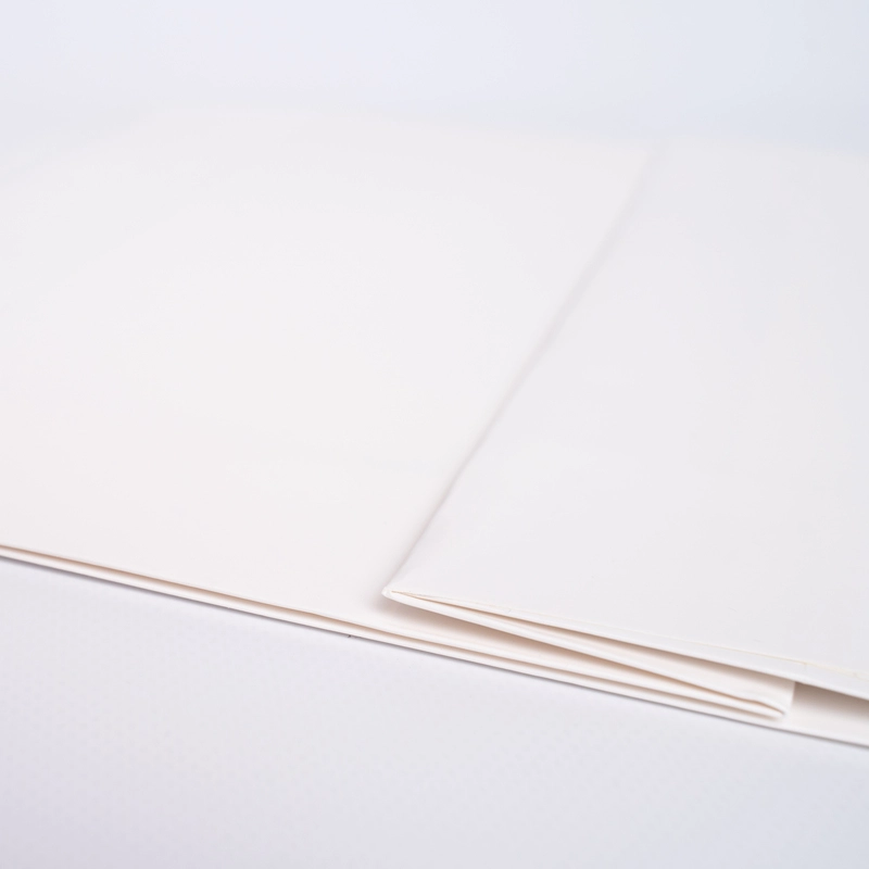 BOLSA DE PAPEL NOBLESSE - Noblesse - Centuryprint