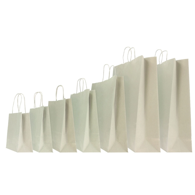 SAC PAPIER SAFARI COLORÉ AVEC POIGNÉES TORSADÉES SAC PAPIER SAFARI COLORÉ AVEC POIGNÉES TORSADÉES