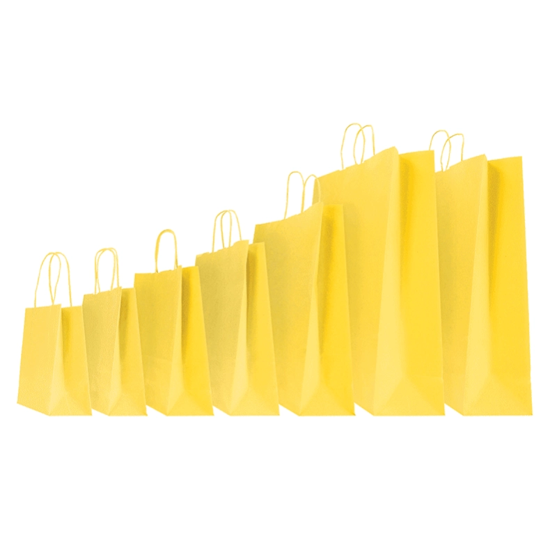 SAC PAPIER SAFARI COLORÉ AVEC POIGNÉES TORSADÉES SAC PAPIER SAFARI COLORÉ AVEC POIGNÉES TORSADÉES