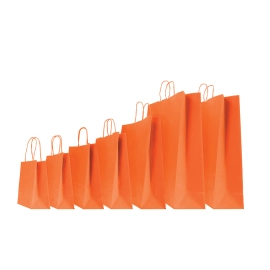 COLORED SAFARI PAPER BAG WITH TWISTED HANDLES