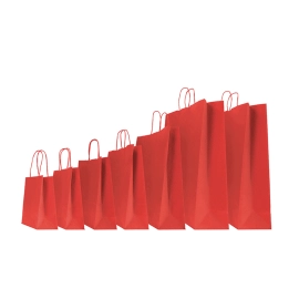 GEKLEURD SAFARI PAPIEREN TAS MET GEDRAAIDE HANDVATTEN