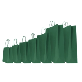 GEKLEURD SAFARI PAPIEREN TAS MET GEDRAAIDE HANDVATTEN