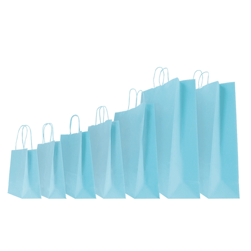 SAC PAPIER SAFARI COLORÉ AVEC POIGNÉES TORSADÉES SAC PAPIER SAFARI COLORÉ AVEC POIGNÉES TORSADÉES