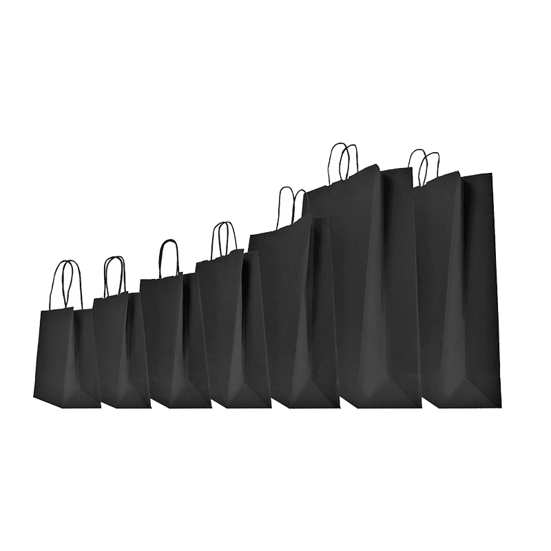 SAC PAPIER SAFARI COLORÉ AVEC POIGNÉES TORSADÉES SAC PAPIER SAFARI COLORÉ AVEC POIGNÉES TORSADÉES