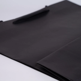 NOBLESSE PREMIUM PAPER BAG | LUXURY PAPER BAG - Noblesse | Centuryp...