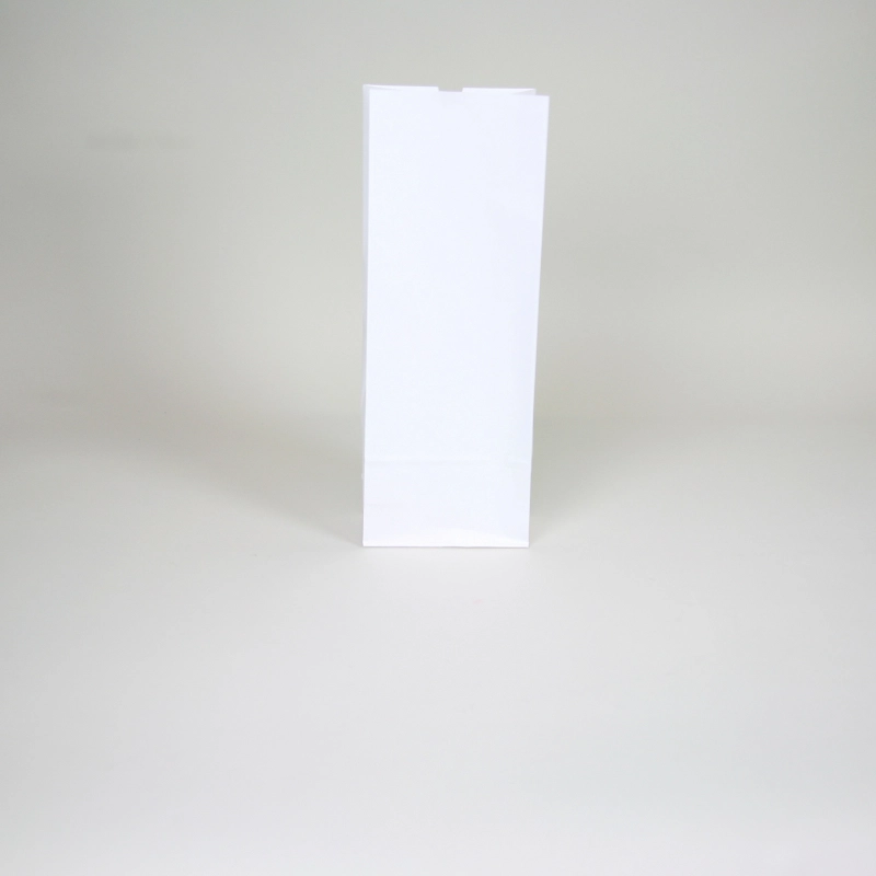 Sacchetto regalo ECOPACK - Sacchetti - Centuryprint