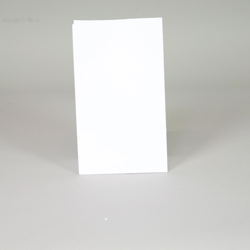 ECOPACK Hülle ohne fenster - Beutel - Centuryprint