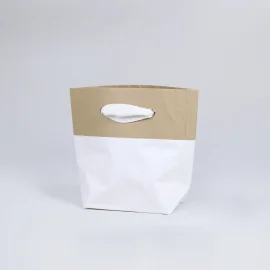 Premium Cement paper bag - Bags | Centuryprint