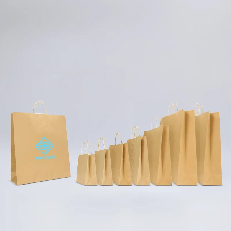 SAFARI NATUURLIJKE KRAFT TAS MET GETWISTE HANDVATEN - Gepersonaliseerde Safari papier zak - Centuryprint