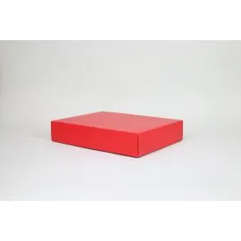 CAMPANA | 40x31x8 CM | CAJA LIGERA CON TAPA