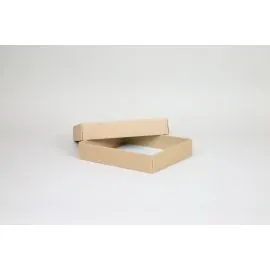 CAMPANA | 40x31x8 CM | CAJA LIGERA CON TAPA