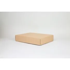 CAMPANA | 40x31x8 CM | LICHT DOOS MET DEKSEL