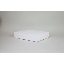CAMPANA | 40x31x8 CM | LEICHTE BOX MIT DECKEL